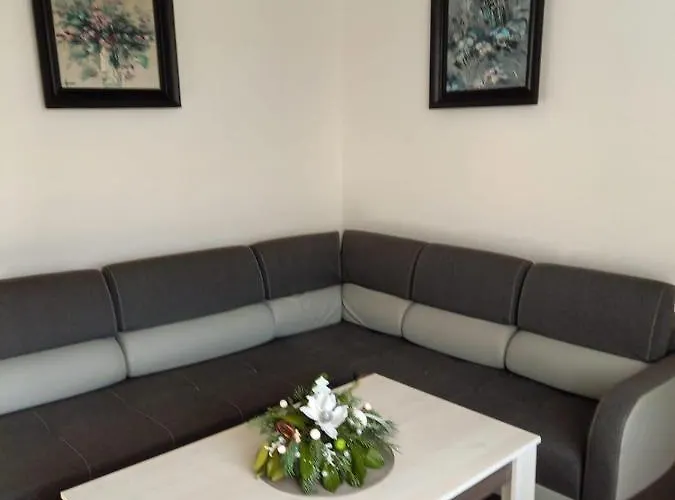 Mamita 아파트 코바리